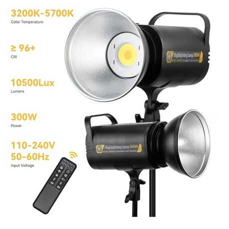 Professional Studio Light with Remote Control 300W MM8820