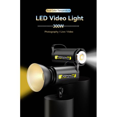 Professional Studio Light with Remote Control 300W MM8820