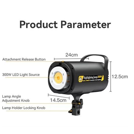 Professional Studio Light with Remote Control 300W MM8820