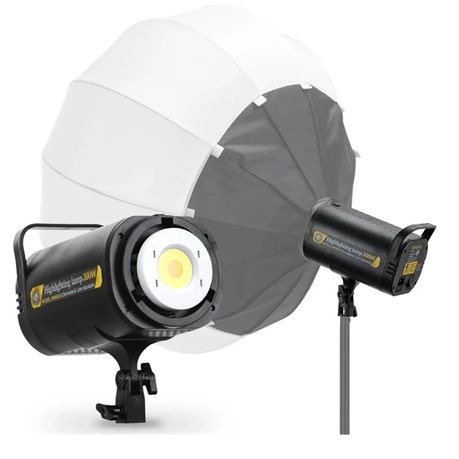 Professional Studio Light with Remote Control 300W MM8820