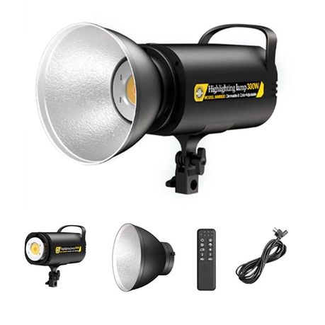 Professional Studio Light with Remote Control 300W MM8820