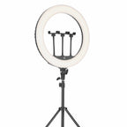 18" LED Ring Light 45cm – Dimmable Fill Light for Photo & Video – MF-18