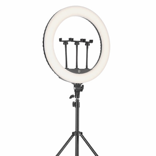 18" LED Ring Light 45cm – Dimmable Fill Light for Photo & Video – MF-18