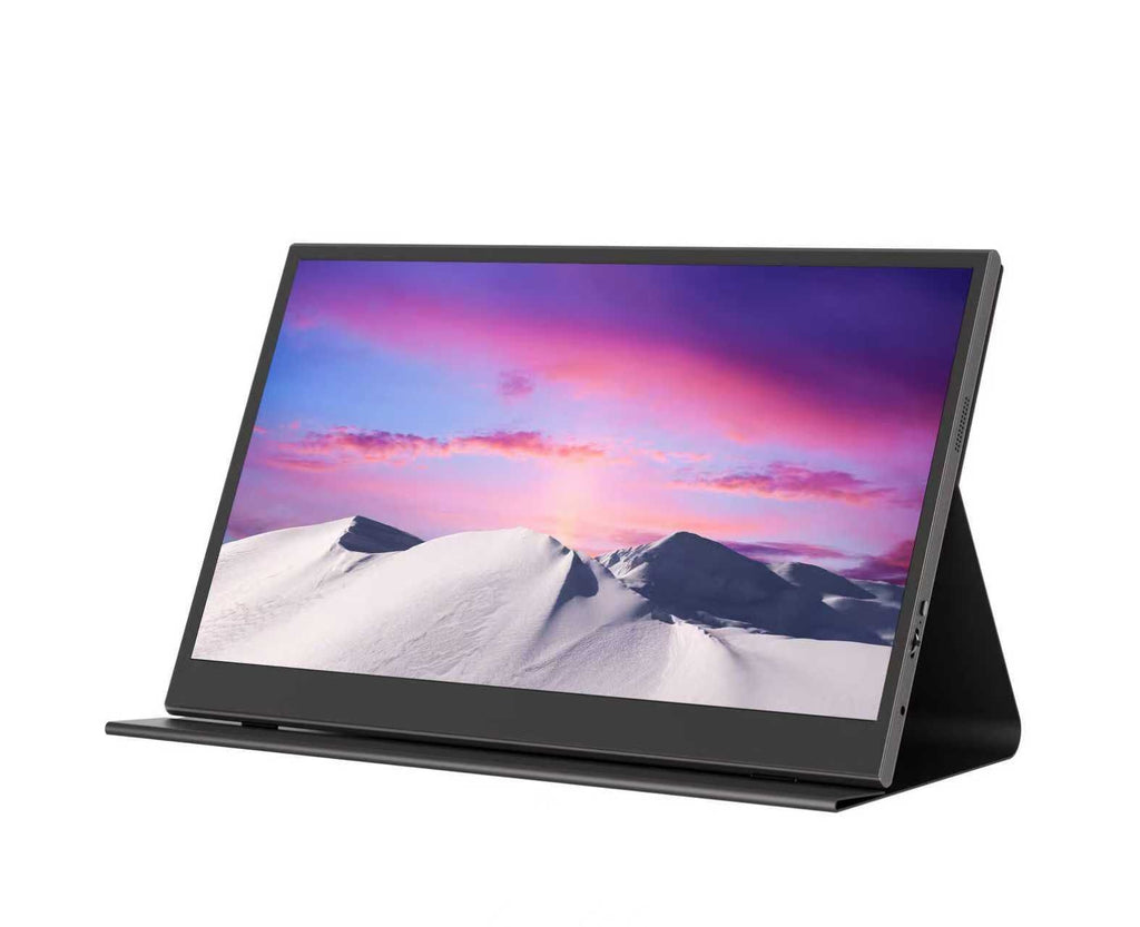 Portable Single Monitor Display 15.6 Inch built-in Speakers & Case