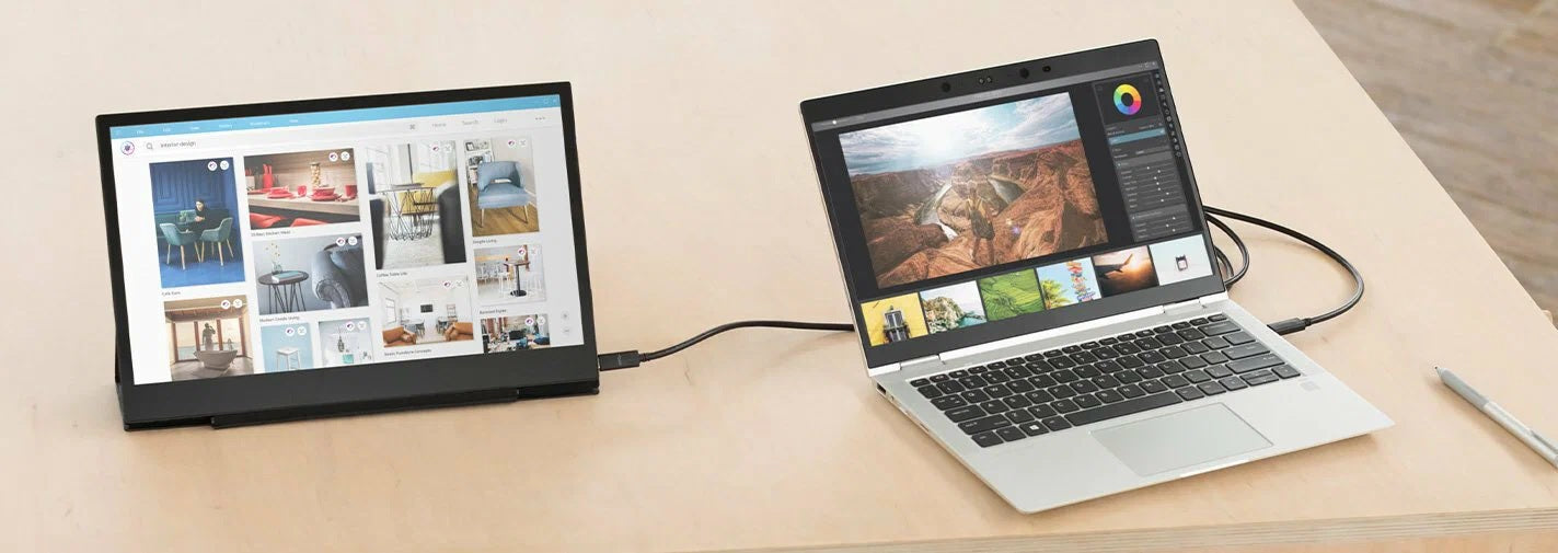 Portable Single Monitor Display 15.6 Inch built-in Speakers & Case