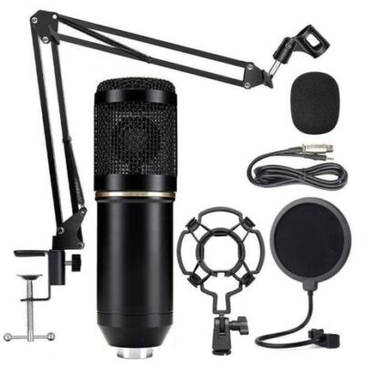 DW M800 Condenser Microphone for PC Computer Streams Recording