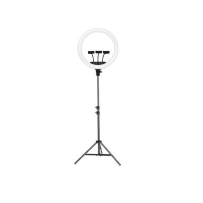 DW 22 Inch LED Ring Light with Heavy Duty Tripod Stand and 3 Phone Holders-ZB-F488